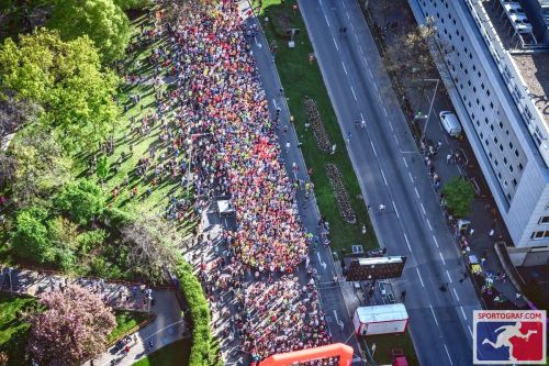 MARATONA DI VIENNA | 42K,21K,Staffetta 2024